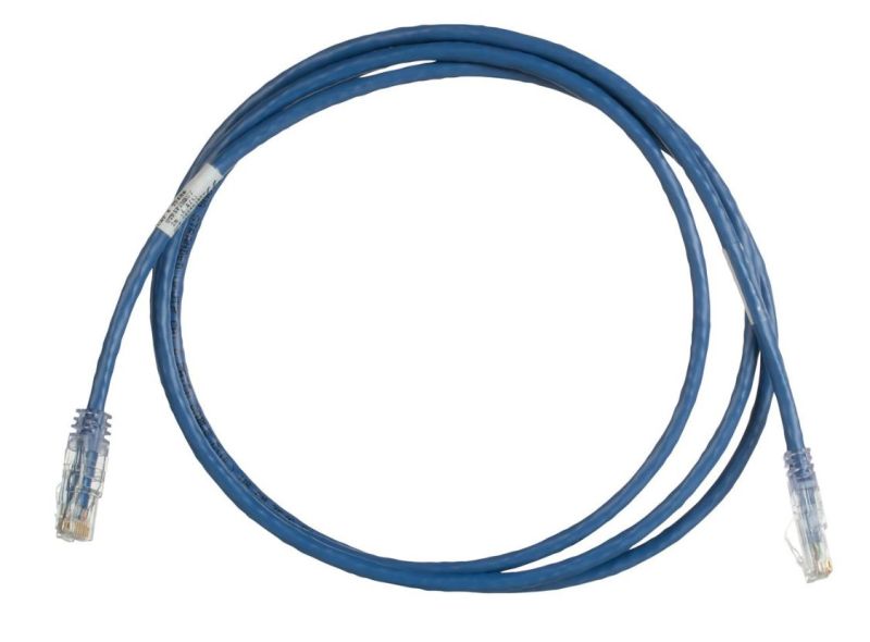 PANDUIT UTPSP2MBUY Copper Patch Cord- Cat 6- Blue UTP Cable- 2 Meter