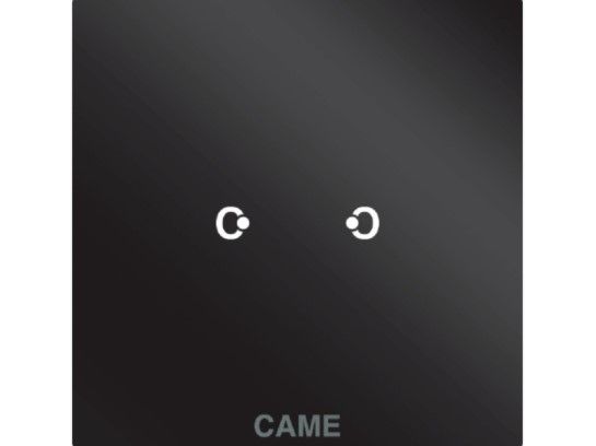 CAME 67600560 OH/2ITC BK MOD.2 ING.SU BLACK PLATE