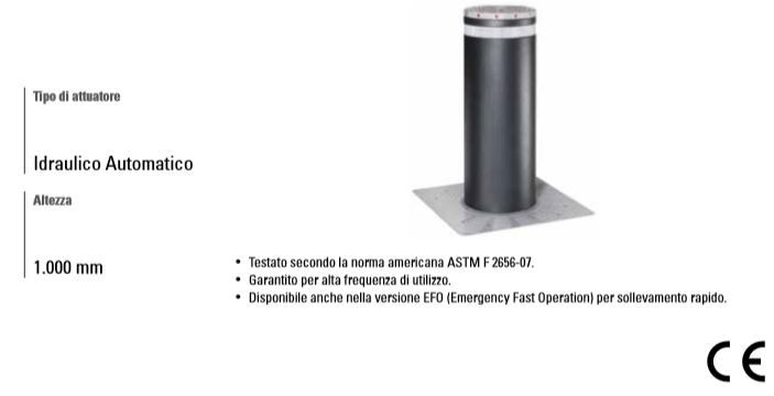 FAAC 116302 Dissuasore Di Sicurezza A Scomparsa J355HA M30/H1.000 VERNICIATO TESTA INOX EFO