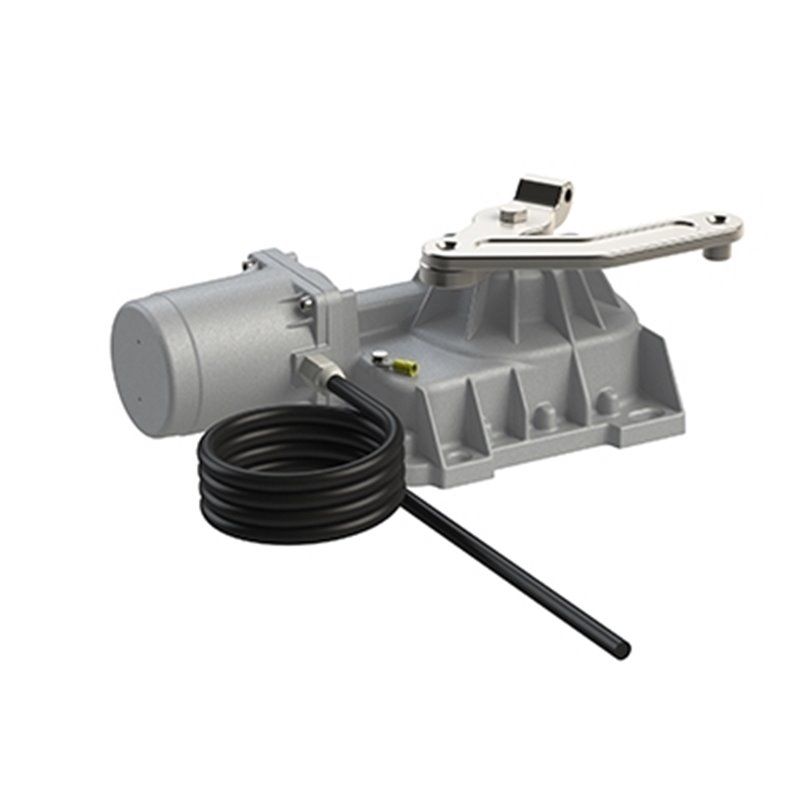 ROGER R21/351SC Motoriduttore per interrato - 230V - Cavo da 2m - Versione SC
