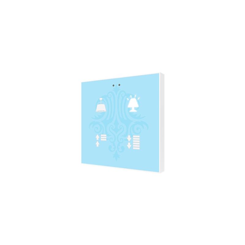 ZENNIO ZVIF4VT ZVIF4VT Flat 2vT Backlit capacitive touch switch, 2 buttons, custom