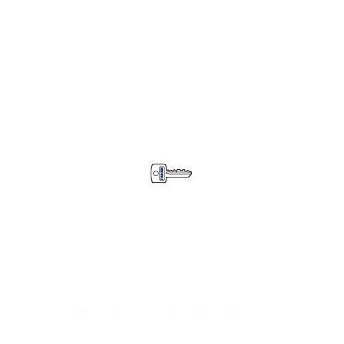 376L Chiave Profilo Europeo Cifratura Personalizzata F0001-f0025 Fadini 376