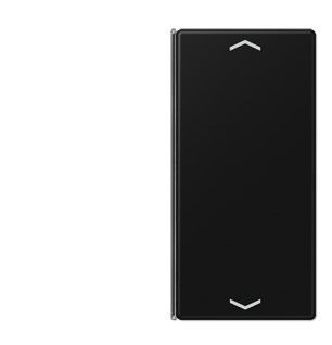 JUNG A402TSAPSWM Key cover for sensor 2 c-channels. symbol mod. A500- matt graphite black