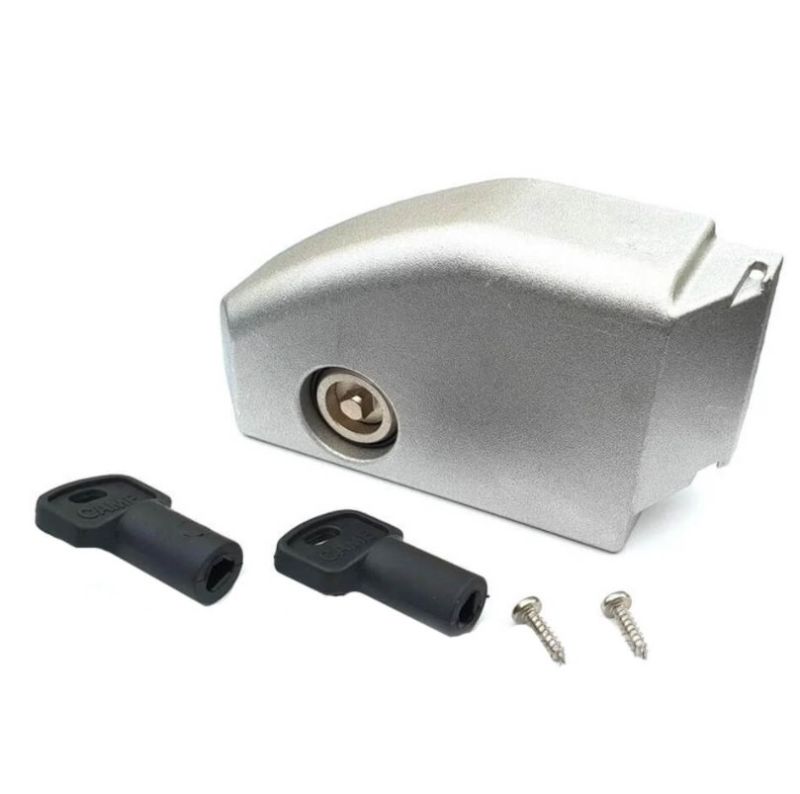 CAME SPARE PARTS 119RIBX008 UNLOCKING ACCESS DOOR - BX