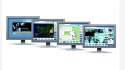 RISCO RSYSMBED000A Software di integrazione e mappe grafiche, 2 workstation, 2 centrali antintrusione, 250 punti, 2 NVR, 32 telecamere, 1 server controllo accessi, 16 lettori (8 porte). Non espandibile