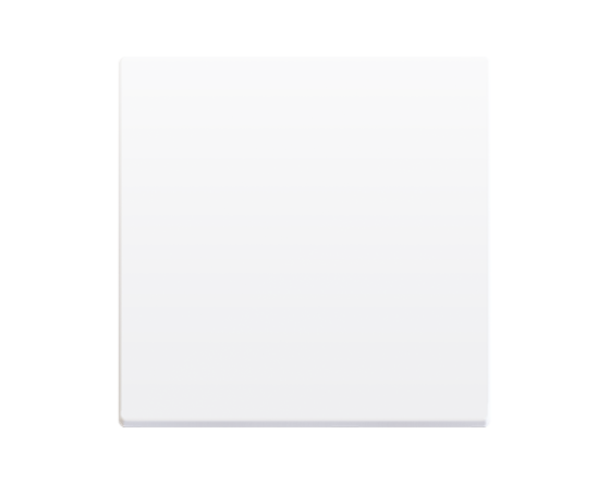 ZENNIO 830001706 ZS55 single switch cover, silver