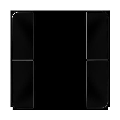 JUNG CD502TSASW Key covers for sensor 2 channels F50- mod. CD500- black