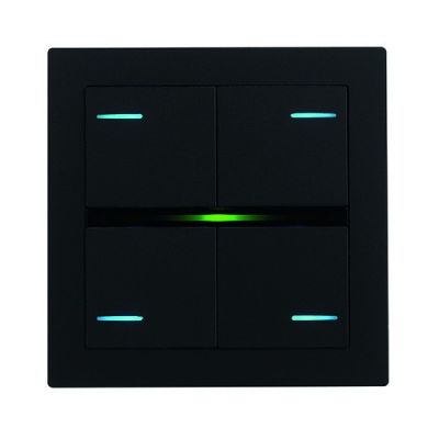 EELECTRON PO71A01FX-0720 71 FENIX PLATE BLACK 0720