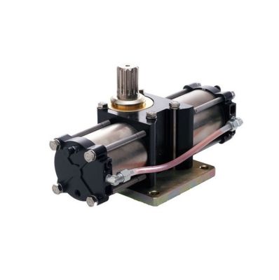 FAAC 108759 Martinetto Idraulico Cancello Ante Battente Interrato 750 R 100° CP