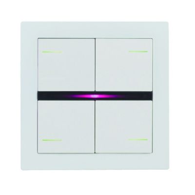 EELECTRON PO71A01PL-4 HELVETIA 71 WHITE PAINTED PLASTIC PLATE - 2M