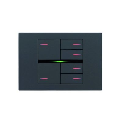 EELECTRON BK24FX-0724 KIT 6 KEYS 2 LEFT + 4 RIGHT FENIX GRAY 072