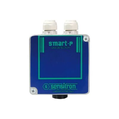 ARITECH FIRE S2400CO-VB SMART P2 Series Microprocessor Gas Detector with Electrochemical Cell Sensor and Catalytic Sensor