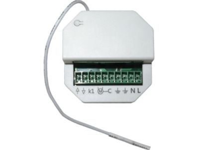 CAME 001YE0119 RKLT-W50 BUILT-IN EXTERNAL RECEIVER