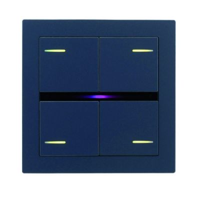 EELECTRON PO71A01FX-0754 71 FENIX BLUE 0754 PLATE
