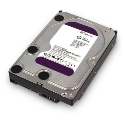 ELMO HD2TB Hard Disk da 2 TB per DVR/NVR