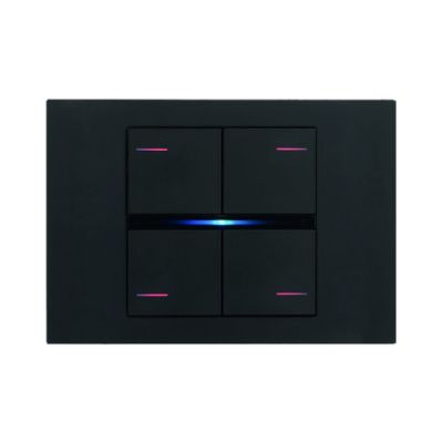 EELECTRON PO71A03PL-3 PLATE 71 BLACK PAINTED PLASTIC - 3 MODULES