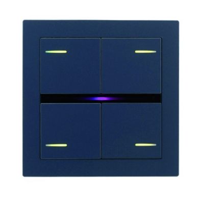 EELECTRON BK04FX-0754 KIT 4 SQUARE KEYS FENIX BLUE 0754 - LINE