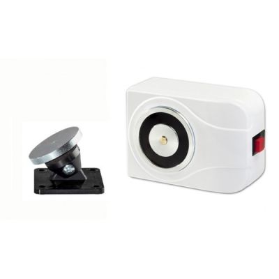 RIELLO FIRE 4437563 S20110_01 Fermo elettromagnetico portata 100 Kg. 2