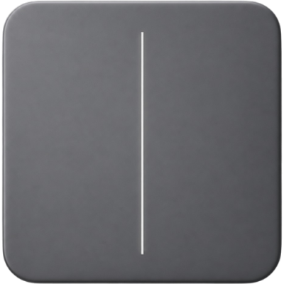 AJAX 52149 SoloButton (2-gang) [55] ASP graphite