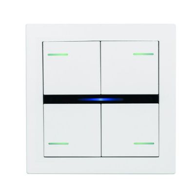 EELECTRON PO71A01FX-0030 71 FENIX PLATE WHITE 0030