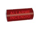 COOPER CSA INCENDIO O-5555-CSA INDICATORE LUMINOSO IP65 A LUCE FISSA LED