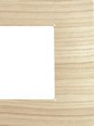 MAPAM 6007-17 Gem 6007-17 7P Spruce Technopolymer Plate