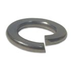 RIB DRG10I ROND.GROWER D=10 STAINLESS STEEL