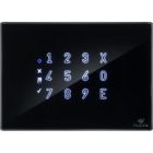 PLEXA KPS-ION-FT Mifare 13.56 MHz peripheral and gold glass keyboard