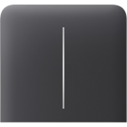 AJAX 83437 SideButton (2-gang) vertical [55] ASP graphite