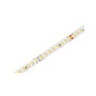 NICE 591.090500 Motore Tubolare Striscia LED RGB, IP67, 60 W/m, na