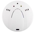 PYRONIX CO-WE RILEVATORE RADIO GAS