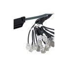 YEASTAR RJ21CABLE-5M Cavo RJ21 - Connettore RJ21 da un lato - lunghezza