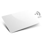 ARITECH INTRUSION PRXLM-GGNNNN00 ProxLite 125KHz card with magnetic stripe