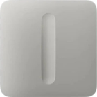 AJAX 98591 CenterButton (Dimmer) [55] (8EU) ASP oyster