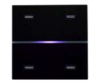 EELECTRON 9025GL04B03 9025 KNX CAPACITIVE BUTTON, BLACK GLASS 4 CHANNELS