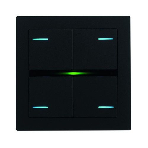 EELECTRON PO71A01FX-0720 71 FENIX PLATE BLACK 0720