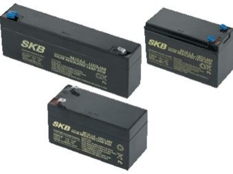CAME 846XG-0040 BB180 ACCUMULATORE SIGILLATO