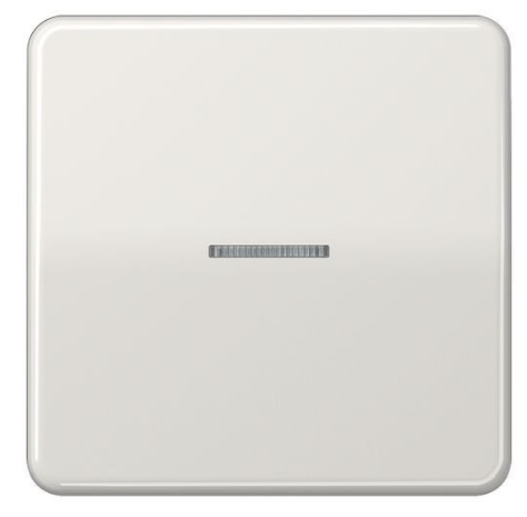JUNG CD10911STRFLG Pulsante KNX RF, 1 canale, grigio chiaro