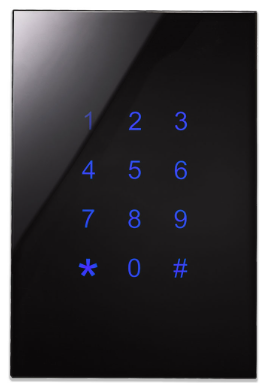 BLUMOTIX BX-E-R12VBS QUBIK DOORY Electronic numeric keypad 80x120