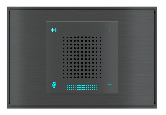 EKINEX EK-VA2-WL-CHA Assistente vocale Eseguo per installazione a parete