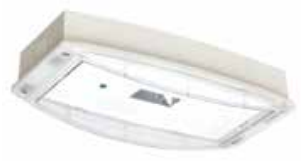 COOPER CSA LIGHTING IP65PHA3HCGL i-P65+ H ASYMMETRIC 3H SA/SE CGLine+ ALUMINIUM