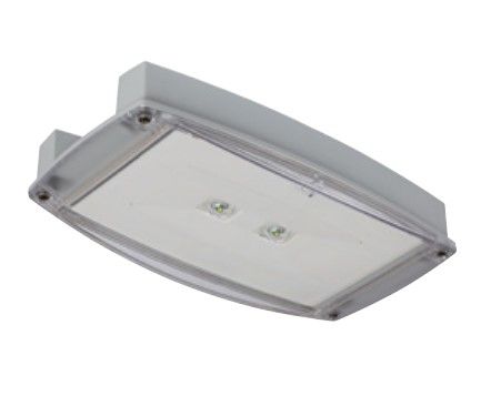 COOPER CSA ILLUMINAZIONE IP65LEDO230CG I-P65 LED CG-S SIMMETRICO