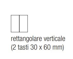 EKINEX EK-T2R-F Confezione 2 tasti rettangolari verticali serie 71 in NTM