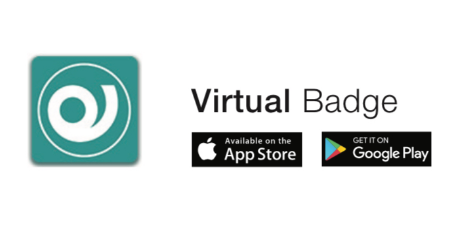EELECTRON IN00B02RAC-28 VIRTUAL BADGE — HORIZONE WEBSERVER, 28 ZONES 
