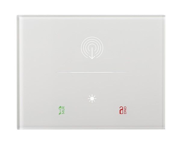 EELECTRON 9025GTH303L01 PLACCA IN VETRO PER TASCA TRASPONDER 9025 - BIANCA