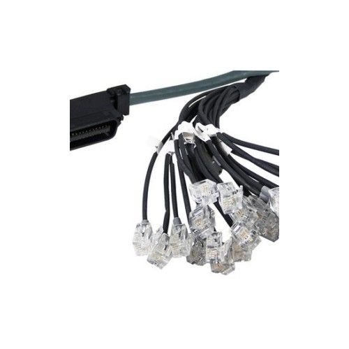 YEASTAR RJ21CABLE-5M Cavo RJ21 - Connettore RJ21 da un lato - lunghezza