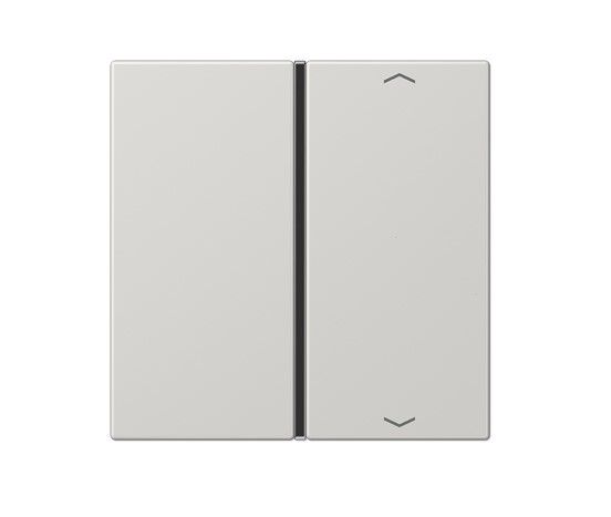 JUNG LS401TSAPLG Key cover for 1-channel sensor module. symbol mod. LS990- light grey