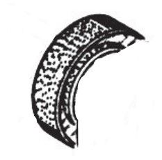 RIB CTC1401 50 80 80 8 ATI OIL SEAL