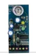 RIB ACG8029B SYNCHRONIZ.X 2/3/4 SLIM PHOTO (2021)