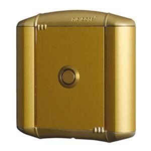 CDVI BECDNBP FRONTALE IN ALLUMINIO COLORE ORO PER PULSANTE
